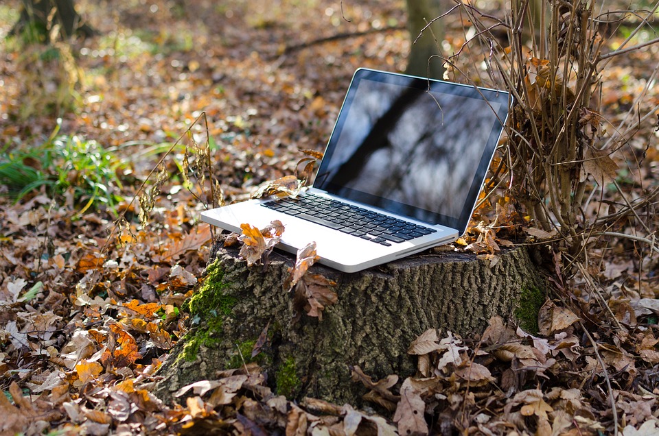 a computer sitting in nature